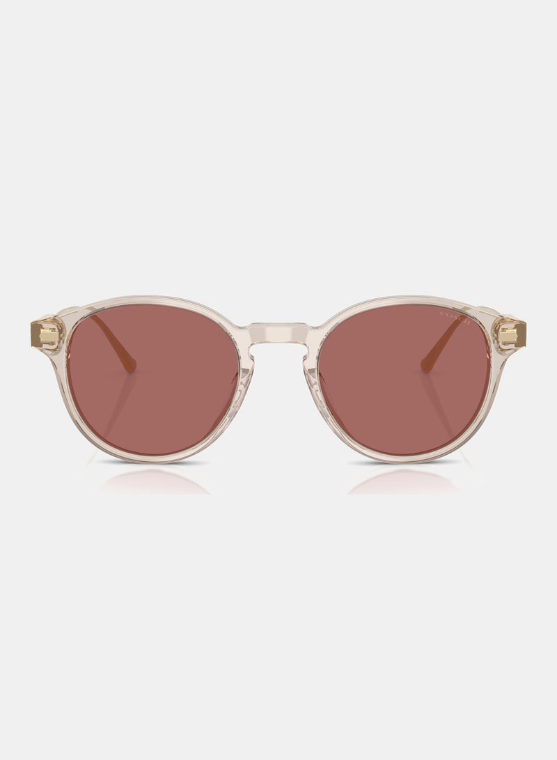 كوتش نظارة شمسية فانتوس كاملة الحواف 8428U 58790H - Image 5